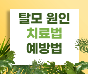 탈모의 원인과 치료법, 그리고 예방법