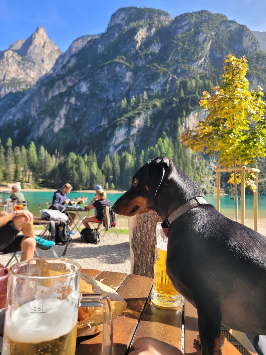 브라이에스 호수 바