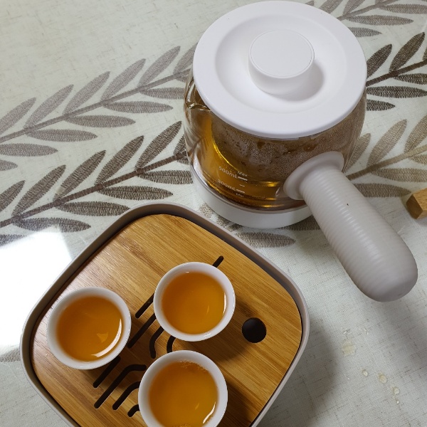 카카오메이커스에서 구입한 디온리 티메이커