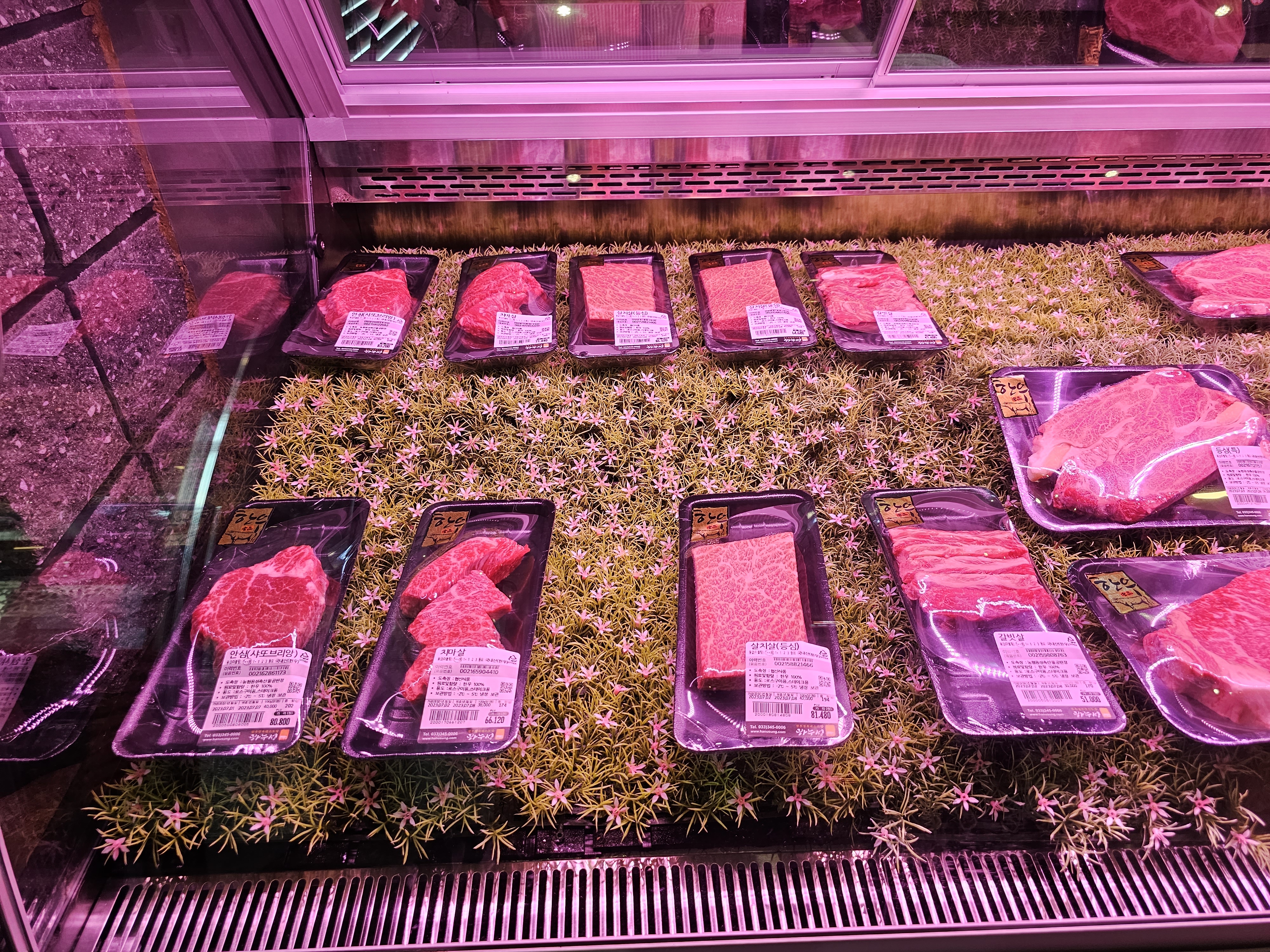 강원도_횡성군_둔내면_하누성_한우종류1