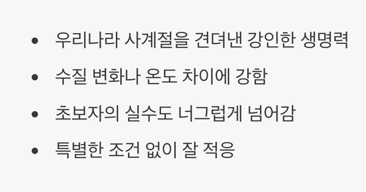 튼튼한 생명력&amp;#44; 초보자도 안심