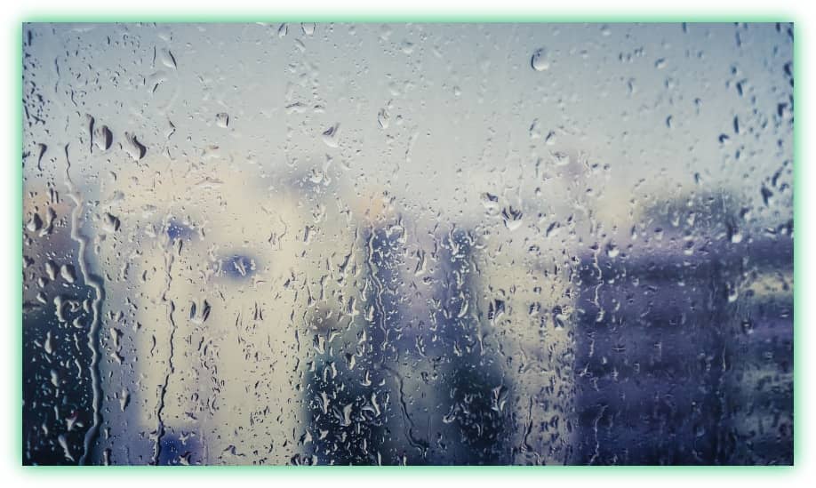 장마철 집안의 습기와 곰팡이 방지&amp;#44; 관리 및 제거 방법