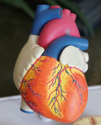 고혈압 증상 원인 예방법 생활습관