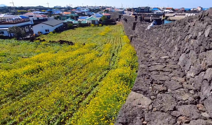국내 봄 여행지