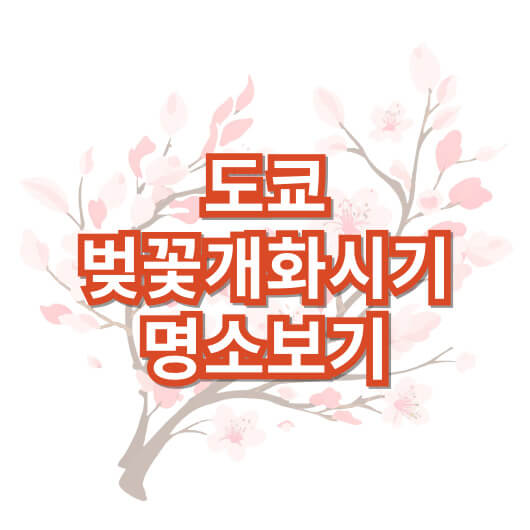 도쿄-벚꽃-개화시기