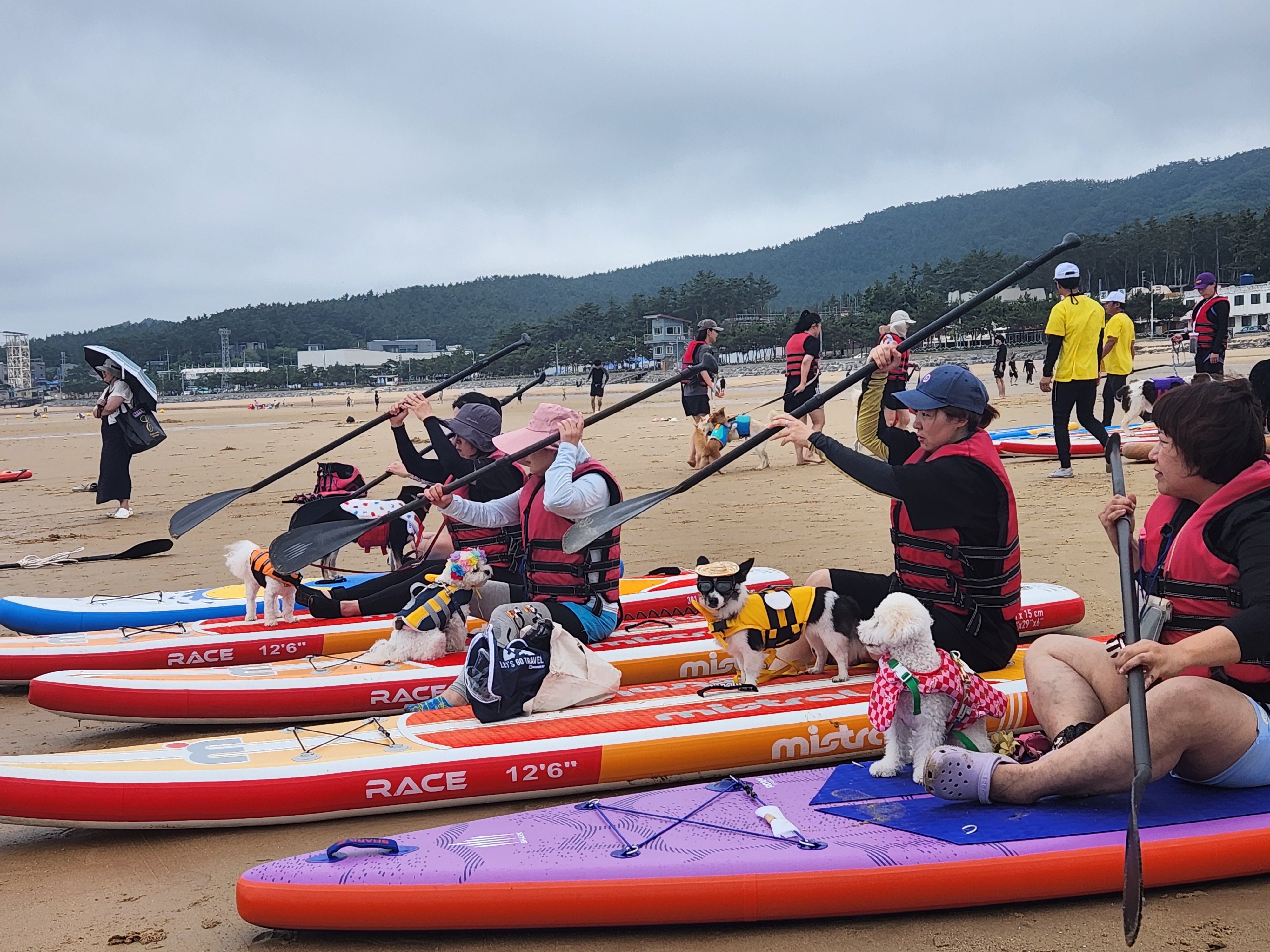 태안 패들보드 체험중