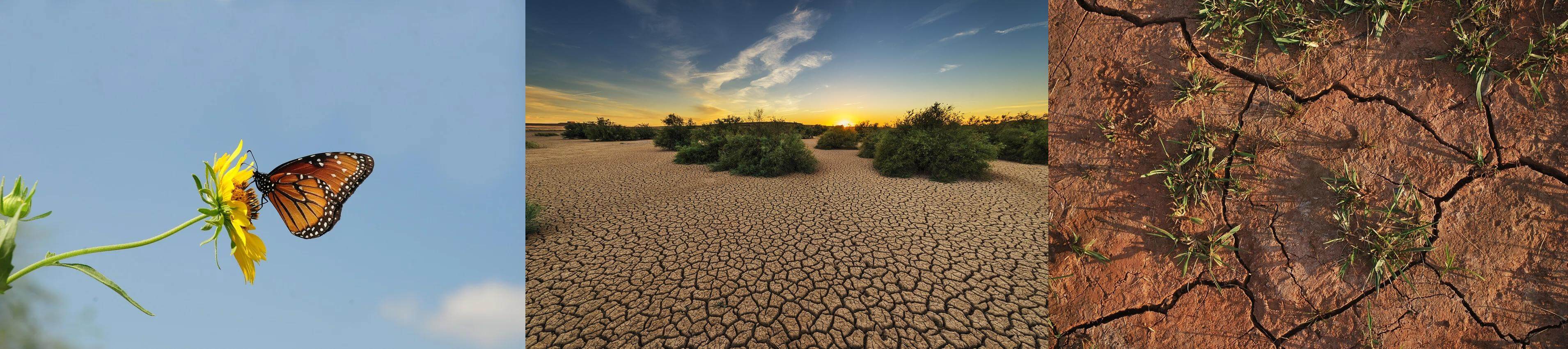강릉재난사태 해결방안