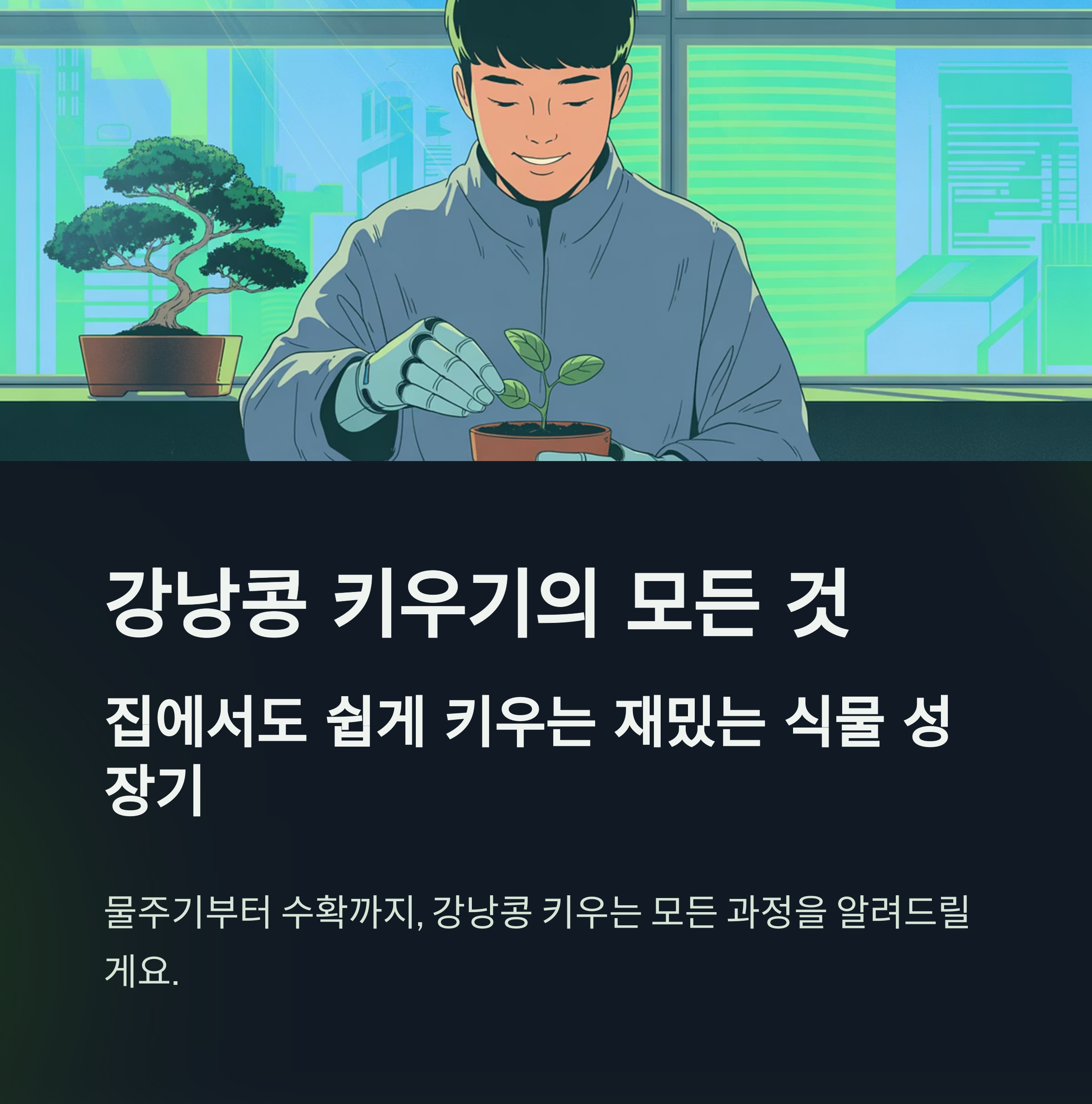 강낭콩 키우기 집에서도 쉽게 키우는 재밌는 식물 성장기