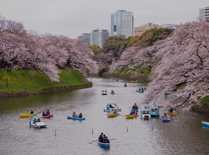 일본 데이트 명소 메구로 구에서 로맨틱한 하루 보내기