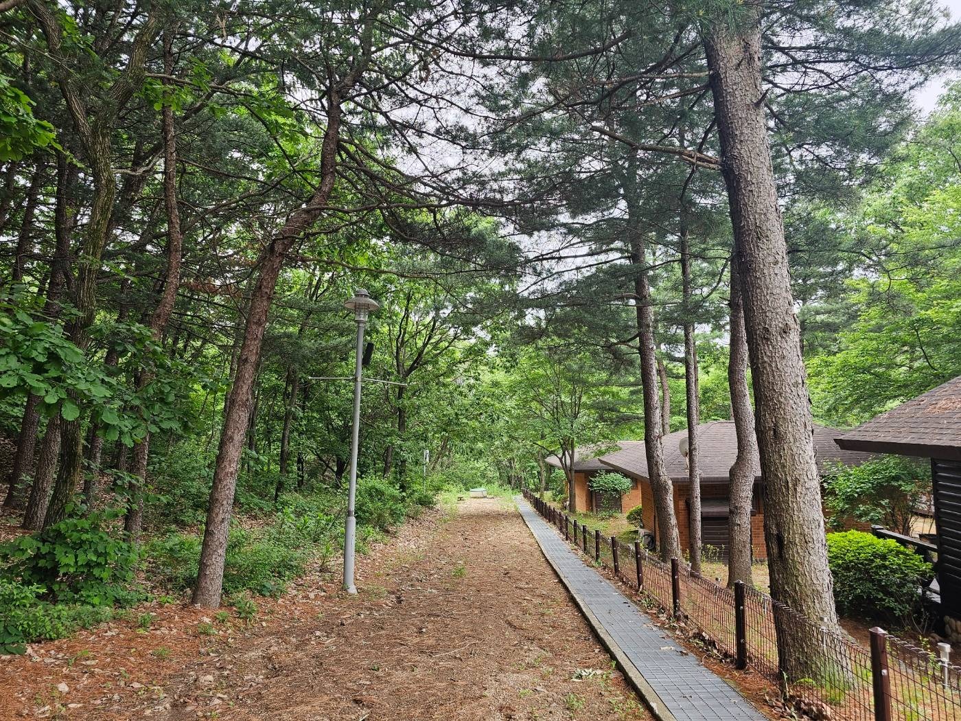 천보산 자연휴양림 숲속의집