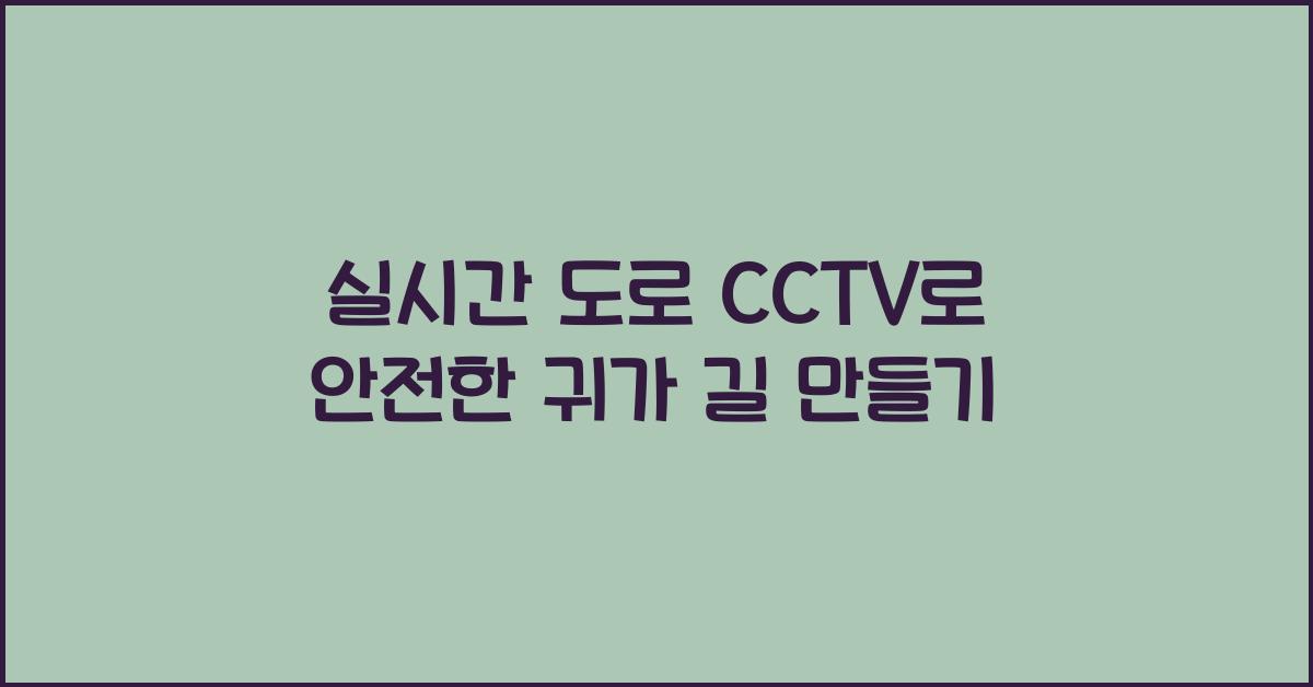 실시간 도로 cctv