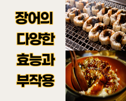 장어의 효능과 주의해야 할 부작용