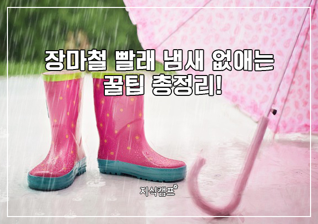 장마철 빨래 냄새 없애는 꿀팁 총정리_썸네일