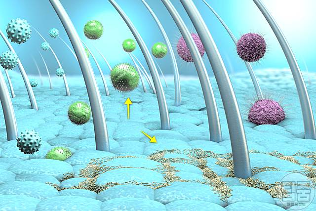 머리냄새 원인 머리냄새없애는법