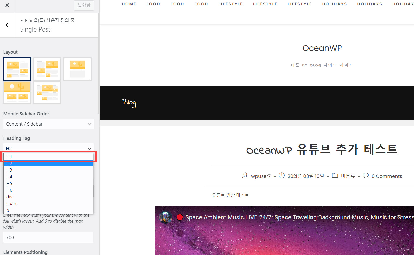 워드프레스 OceanWP 테마 헤딩 태그 변경하기(H2을 H1으로) - 완료