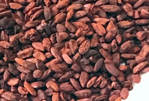 국내산 발효 홍미