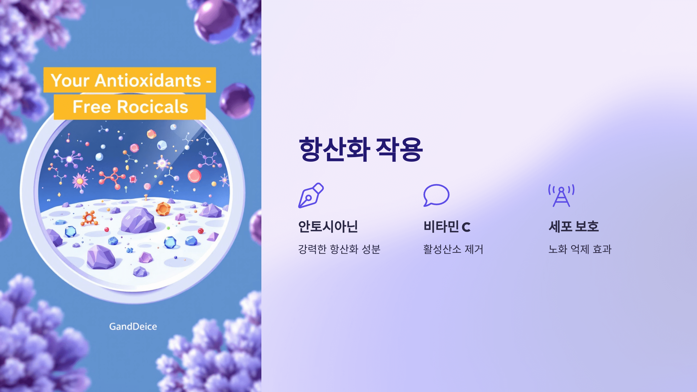 오디 사진입니다.