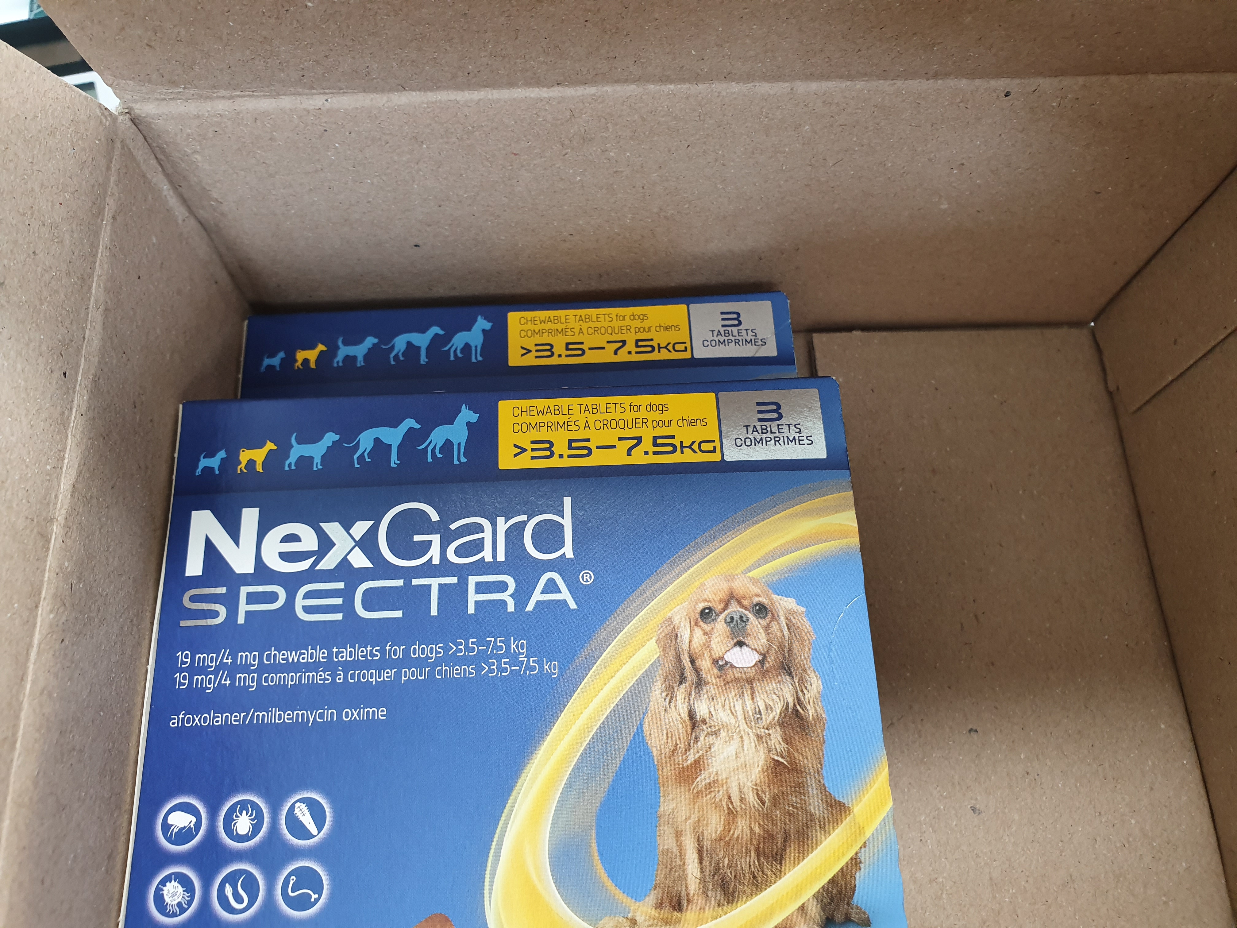 넥스가드-스펙트라3