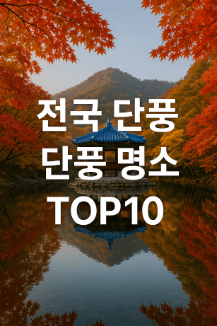 설악산부터 내장산까지! 가을 단풍 여행지 BEST 10