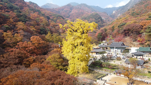 용문산 등산코스