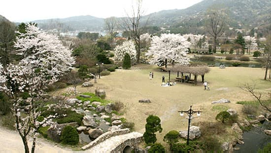 [아이 동반, 서울 근교 여행지]경기도 포천 서운동산｜딸기, 블루베리, 옥수수, 먹이주기, 밤줍기 등 체험 가득한 가족 여행지