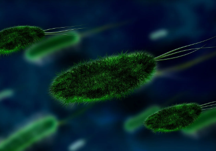 마이크로바이옴(장내세균)이 정신 건강에 미치는 놀라운 영향