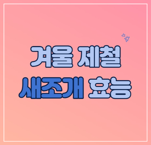 새조개 효능 및 추천요리