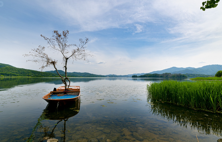 양평 두물머리 강 사진
