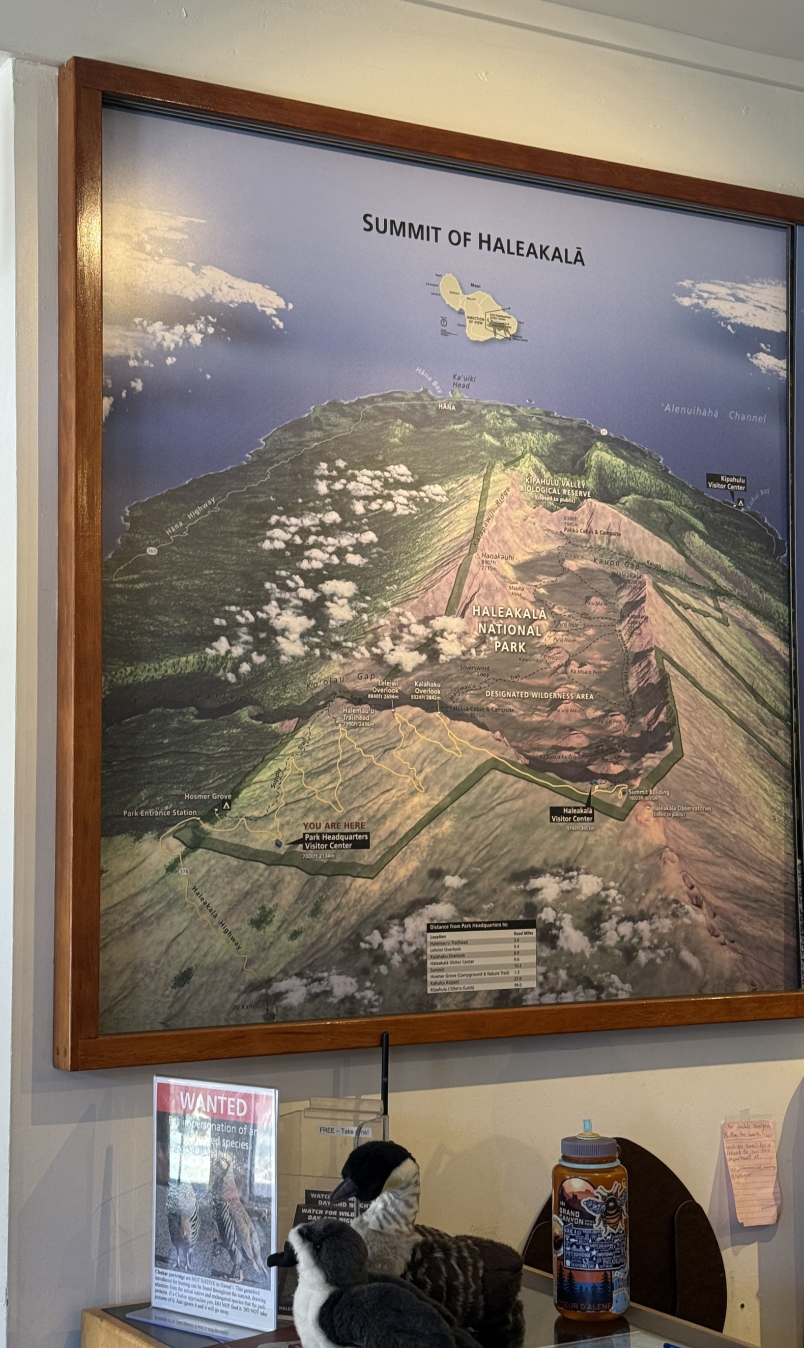 마우이 할레아칼라 국립공원