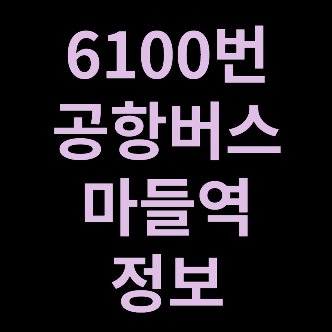 6100번 공항버스 마들역 정보