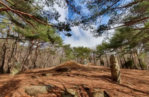 양산 진성여왕릉 전경