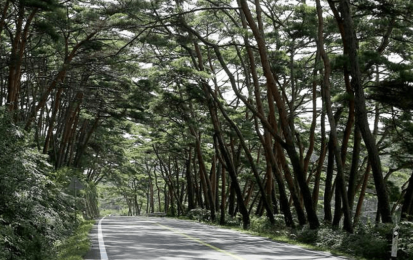 8월 국내 여행지 추천