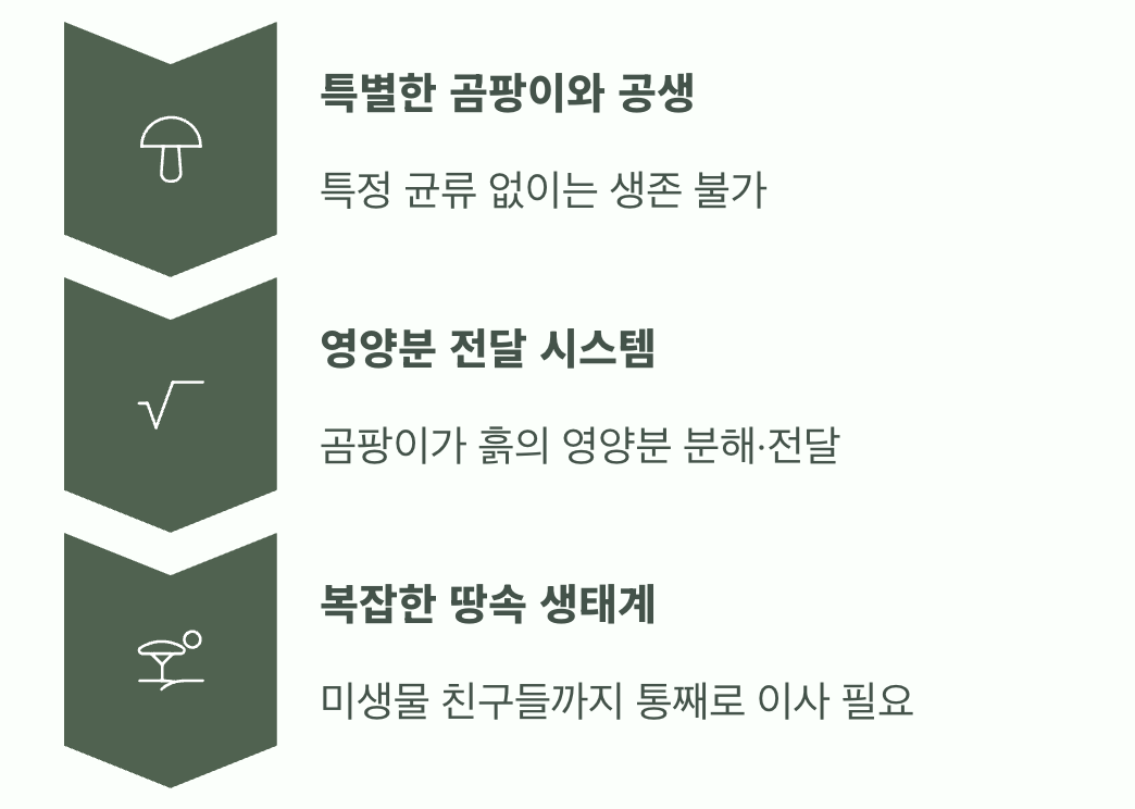 흙과 곰팡이&amp;#44; 까다로운 공생의 비밀