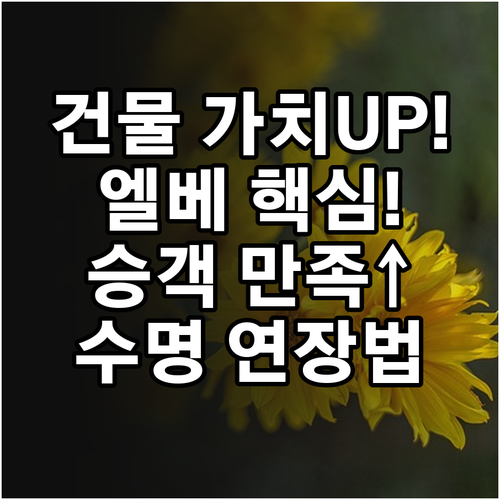현대 건물 가치 높이는 엘리베이터 미..