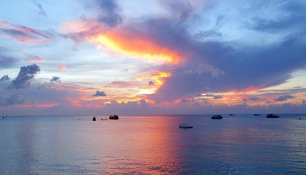 코사무이 관련사진