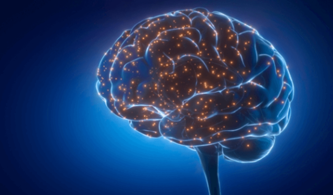 포스파티딜 세린 부작용