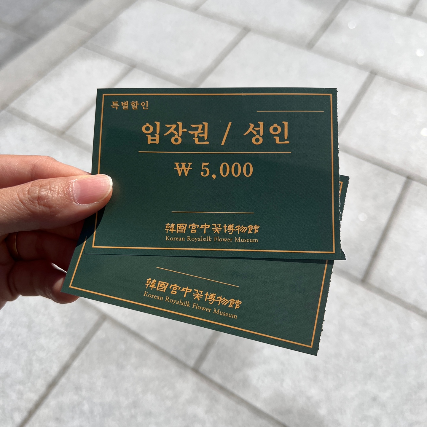 사계절 매화 꽃을 볼 수 있는 &amp;#39;한국궁중꽃박물관&amp;#39;