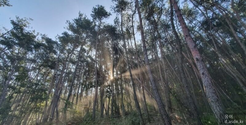 소리꿈 꿈해몽 10가지 태몽 길몽 길운 정리 네번째