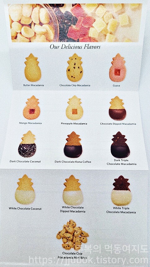 호놀룰루-쿠키-컴파니-팜플릿-쿠키-카탈로그