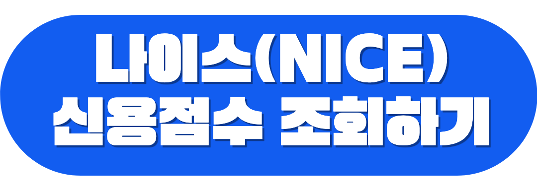 나이스 조회