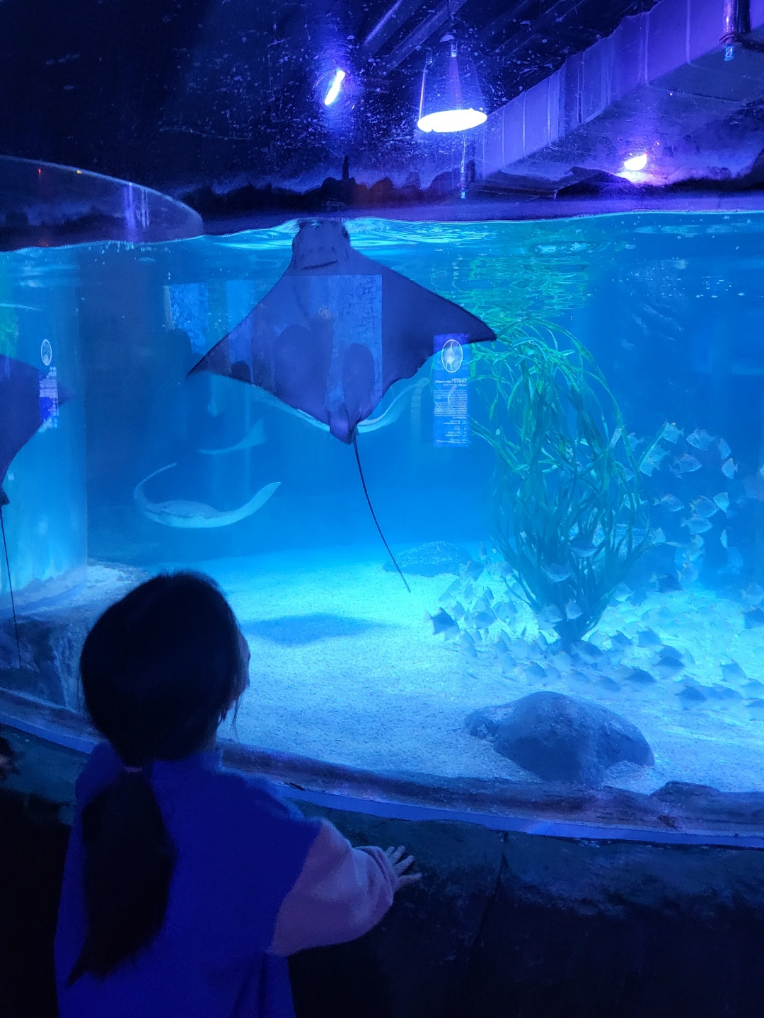 부산 아쿠아리움
