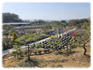 고스락