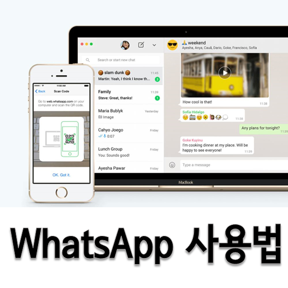 Whatsapp 사용법 대표이미지