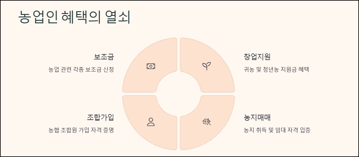 마무리 및 한눈에 보기