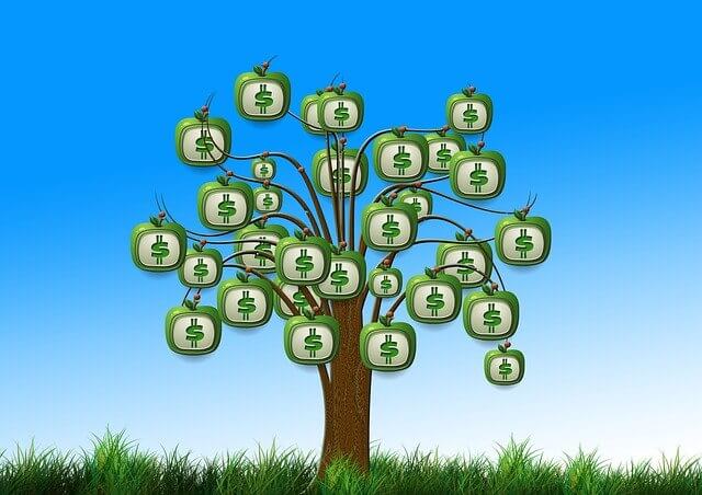 달러-나무