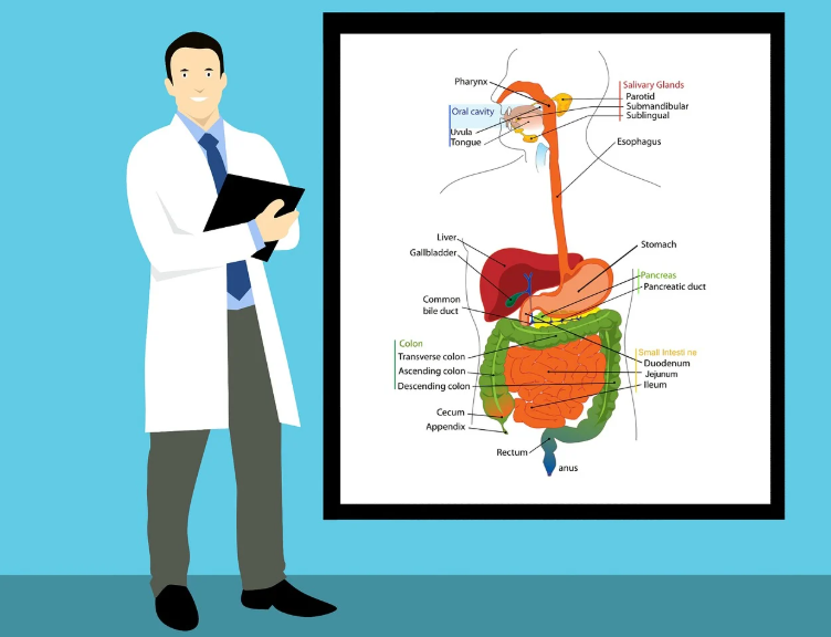 최신 암 치료기술 관련 사진