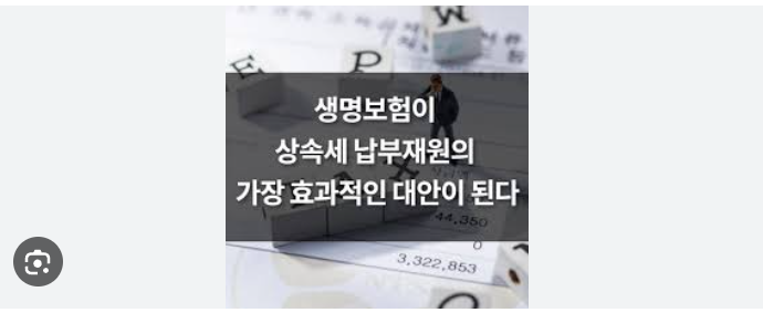 생명보험 활용