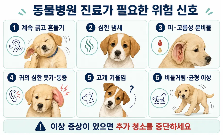 강아지 귀 청소 후 동물병원 진료가 필요한 위험 신호 6가지