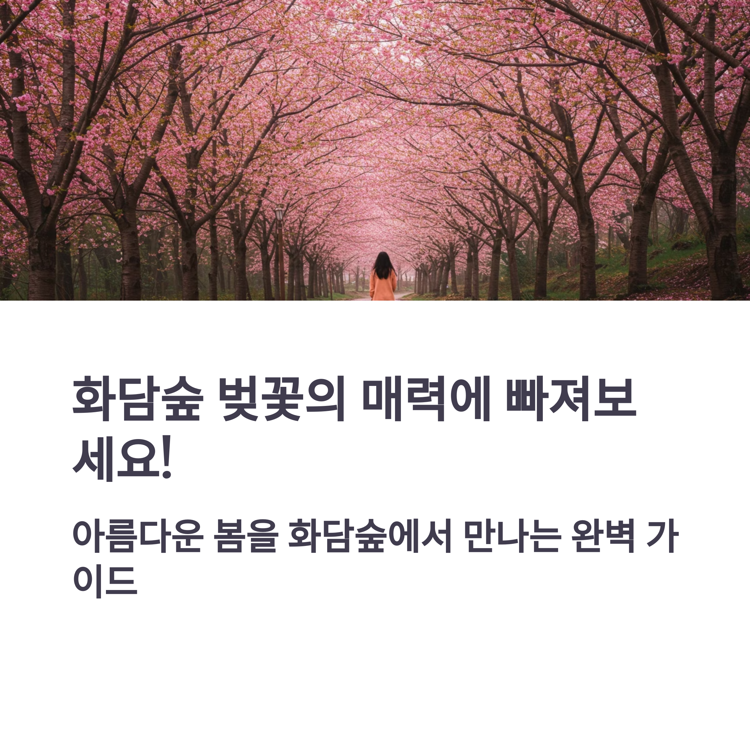 2025 화담숲 예약 벚꽃 시즌 사전 예약 모노레일 주차장 정보1