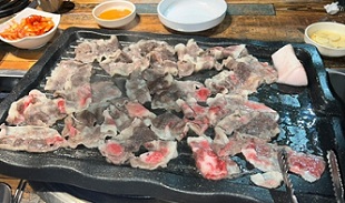 차돌박이